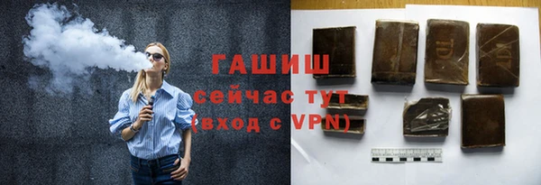 дживик Краснослободск