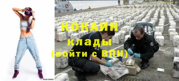 дживик Краснослободск
