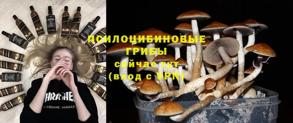 амф Кулебаки