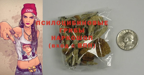 амф Кулебаки