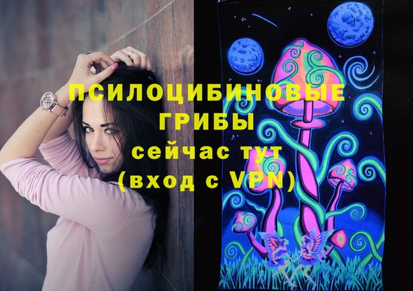 крисы Куйбышев