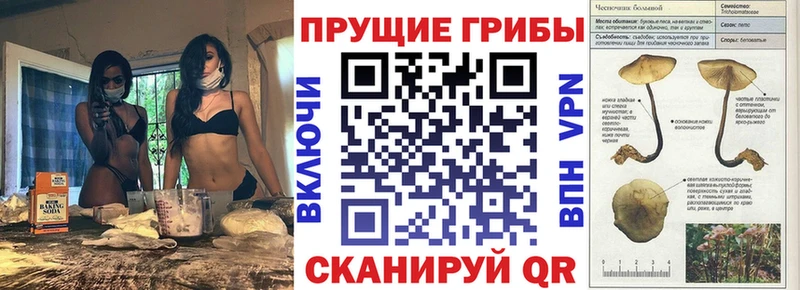 Псилоцибиновые грибы мицелий  darknet официальный сайт  Мамадыш 